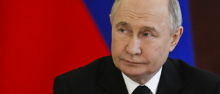 Källor: Putin "öppen" för vapenvila