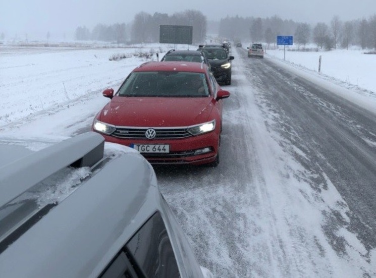 Köerna var långa förbi Åkeborondellen på tisdagsmorgonen.