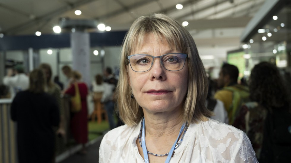 Naturskyddsföreningens generalsekreterare Karin Lexén på COP 27 i Egypten. Arkivbild.