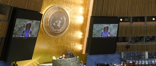 FN röstade för att kräva ryskt tillbakadragande