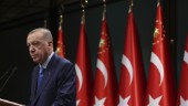 Bekräftat: Turkiet håller val 14 maj