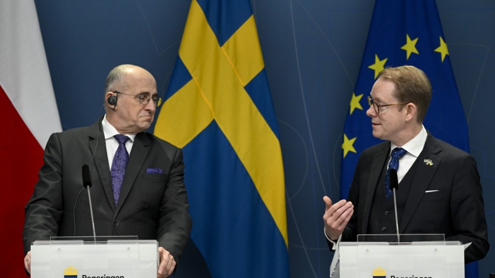 Polens utrikesminister Zbigniew Rau och utrikesminister Tobias Billström under en pressträff i Stockholm.