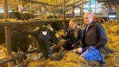 Enköpingsbönder hoppas på svensk mjölk trots tuffa tider: "Tror att de flesta är väldigt positiva"
