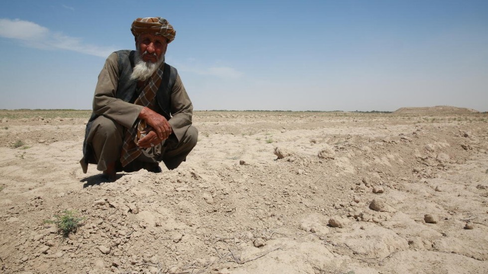 Sohail, inspekterar sin familjs mark som blivit ödelagt efter torkan i provinsen Balkh i norra Afghanistan.