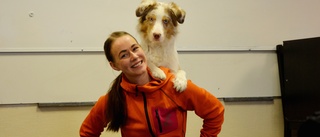 Elin, 27, lämnade lärarbanan – vill satsa allt på hundar 