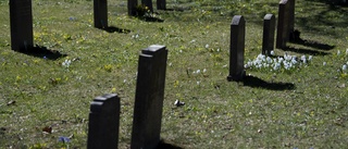 Kompost och svamp gör begravningen miljövänlig