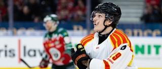 Almtuna lånar Brynässpelare • Har spelat 134 SHL-matcher • Gör debut i kväll