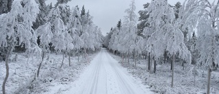 Läsarbilden                   