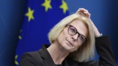 Sverige går in i lågkonjunktur – finansministern: "En rätt bister vinter"