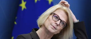 Finansministern: Sverige går in i en lågkonjunktur