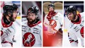 Anton Björkman, Tanner MacMaster, Andreas Söderberg och Hampus Falk sticker ut på olika sätt om vi grottar ner oss i statistiken efter hockeyallsvenskans första skede.
