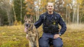 Superhunden Lundy, 6, i Eskilstuna är Årets polishund 2022 – hittade mordvapnet efter skotten vid Bellmansplan