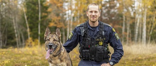 Superhunden Lundy, 6, i Eskilstuna är Årets polishund 2022 – hittade mordvapnet efter skotten vid Bellmansplan