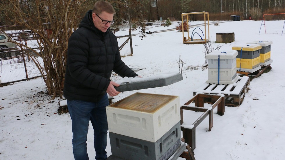 Sakta och försiktigt lyfter Niklas Strömberg på locket till kupan, han vill inte störa bina mer än nödvändigt så här års.
