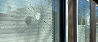 Man greps efter att ha krossat 50 fönsterrutor