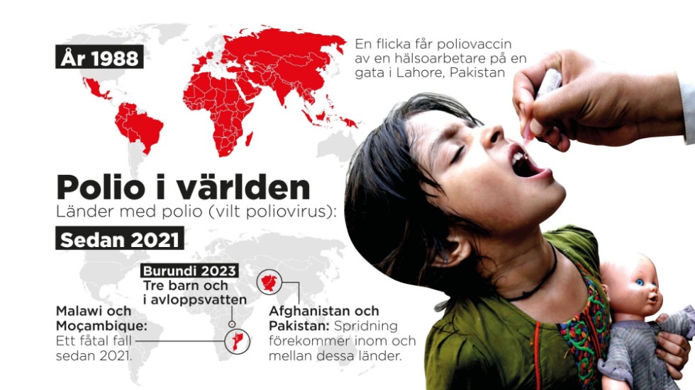 Länder med vilt poliovirus 1988 och 2023.
