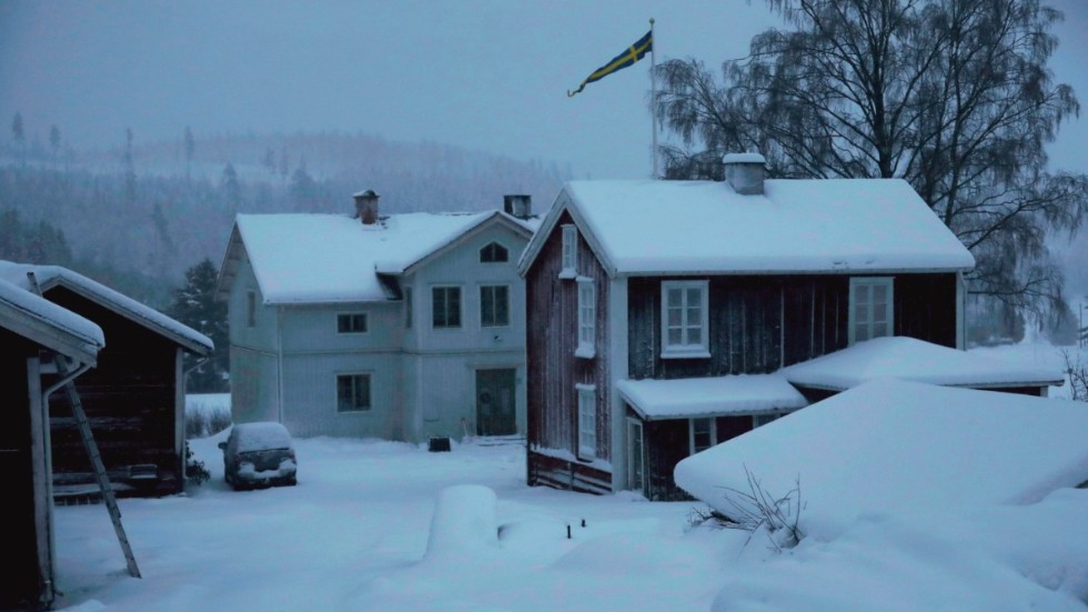 Hushåll i södra Sverige riskerar att kopplas bort från elnätet om det uppstår effektbrist i vinter. Arkivbild.