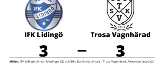 Delad pott när Trosa Vagnhärad gästade IFK Lidingö