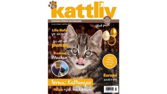 Kattliv  - Sveriges största tidning för kattintresserade.
