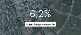 Pilarna pekar nedåt för Sulzer Pumps Sweden AB