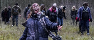 Sverige behöver göra sig av med zombieföretagen