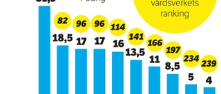 Alla pilar pekar på uppsving för friluftslivet