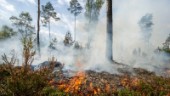 Flest skogsbränder i Nyköping – men ändå halvering mot 2020