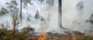 Flest skogsbränder i Nyköping – men ändå halvering mot 2020