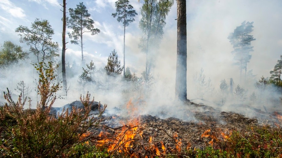 Det finns åtgärder som kan förhindra skogsbränder, skriver insändarskribenterna.