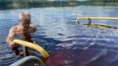  Usel handikappbadplats - Winfried, 81 år, i Stavsjö behöver hjälp till vattnet och ett rampglapp är för stort: "Det kan bli livsfarligt" 