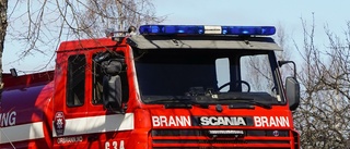 500 grisar döda i brand i Norge