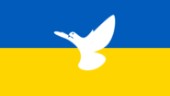 Därför lär Ukrainas EU-medlemskap dröja
