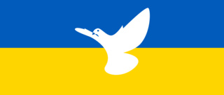 Därför lär Ukrainas EU-medlemskap dröja
