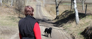 Hennes hund dog – efter besök av främmande par hemma på tomten