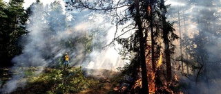 Därför behöver Sörmlands skogar brinna
