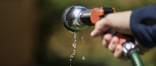 Bevattningsförbud i Trosa och Gnesta