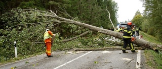 Flera nedblåsta träd blockerade vägar i Sörmland