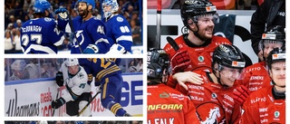 Ilestedt sällar sig till NHL-spelare efter målfyrverkeriet