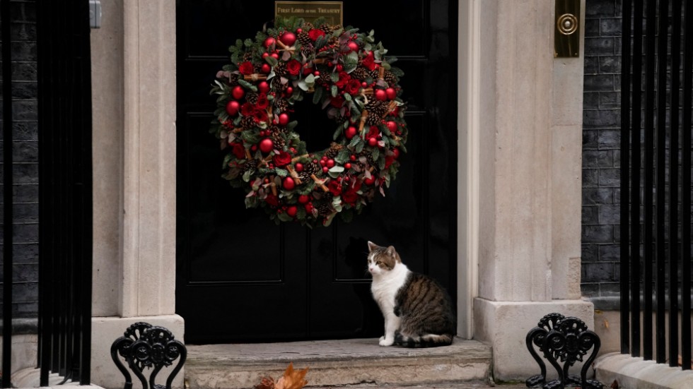 Husse och matte är upptagna med annat denna vecka. Katten Larry utanför premiärministerresidenset på Downing Street i London i onsdags.