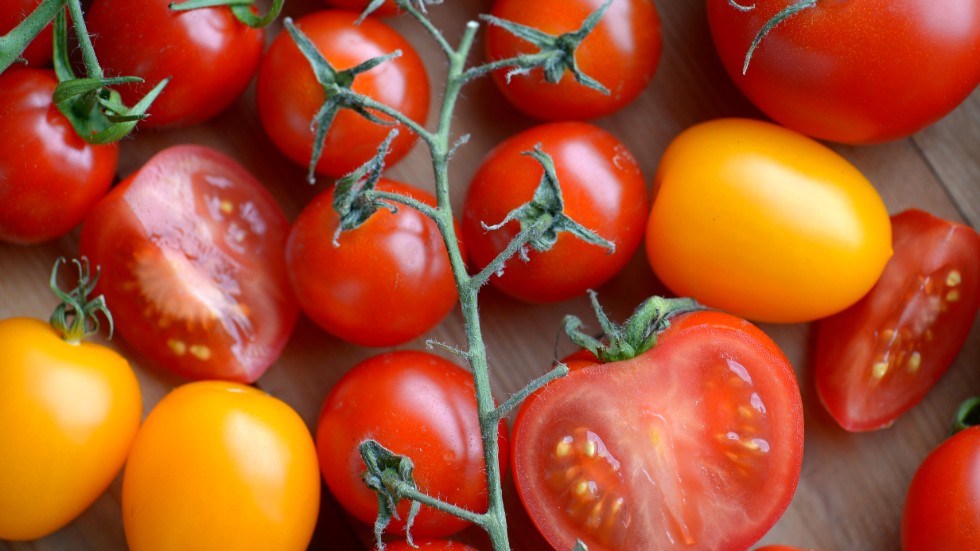 Forskare har hittat ett sätt att göra tomater sötare utan att stressa plantan. Arkivbild.