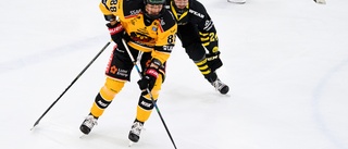 Luleå Hockey/MSSK vände underläge till seger mot AIK