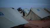 Över 600 migranter gripna i Libyen
