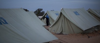Över 600 migranter gripna i Libyen