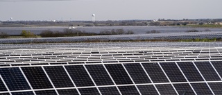 Planen: Ny solcellspark som ska ge energi 25 år