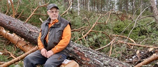 Stormen Malik slog hårt mot kommunens skogsägare: "Finns ingen försäkring" • Varnar allmänheten 