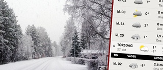 SMHI: Ny prognos – då kommer snön till Skellefteå