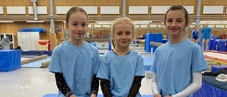 Unga gymnaster tävlade i riksfinalen