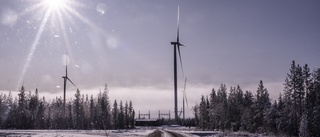 SD: Kalmar län behöver inte mer vindkraft