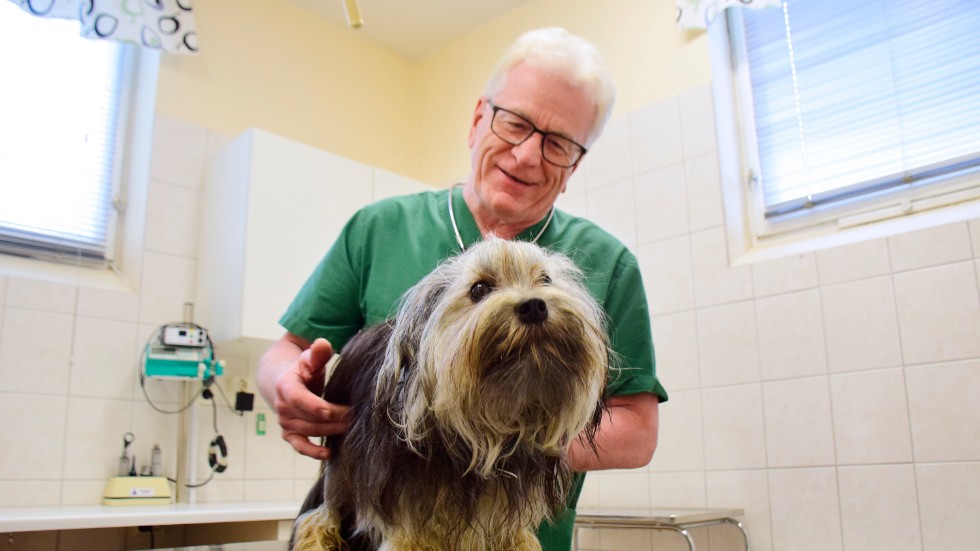 Peder Johansson har jobbat som veterinär i över fyra decennier. Trots att han nu fyllt 73 år finns ingen plan på att sluta. "Jag tycker att det är så himla roligt"