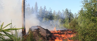 Stor risk för skogsbrand i Norrbotten